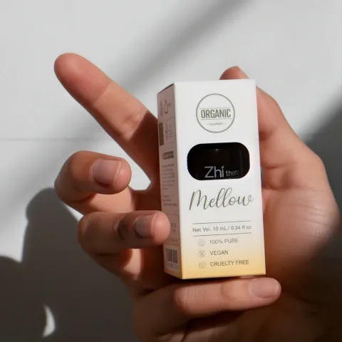 Hand holding a Zhithera 10 ml essential oil box labeled "Mellow" against a light grey wall